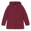 2025 winter new style thick down cotton coat outer cold-proof warm women's winter medium and long