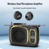 Wireless Amplifier & Microphone for Teachers and Outdoor Promotions