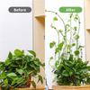 Plant Fixture Clip Plant Climbing Wall Self-Adhesive Fastener Tied Fixture Vine Buckle Hook Garden Plant Wall Climbing