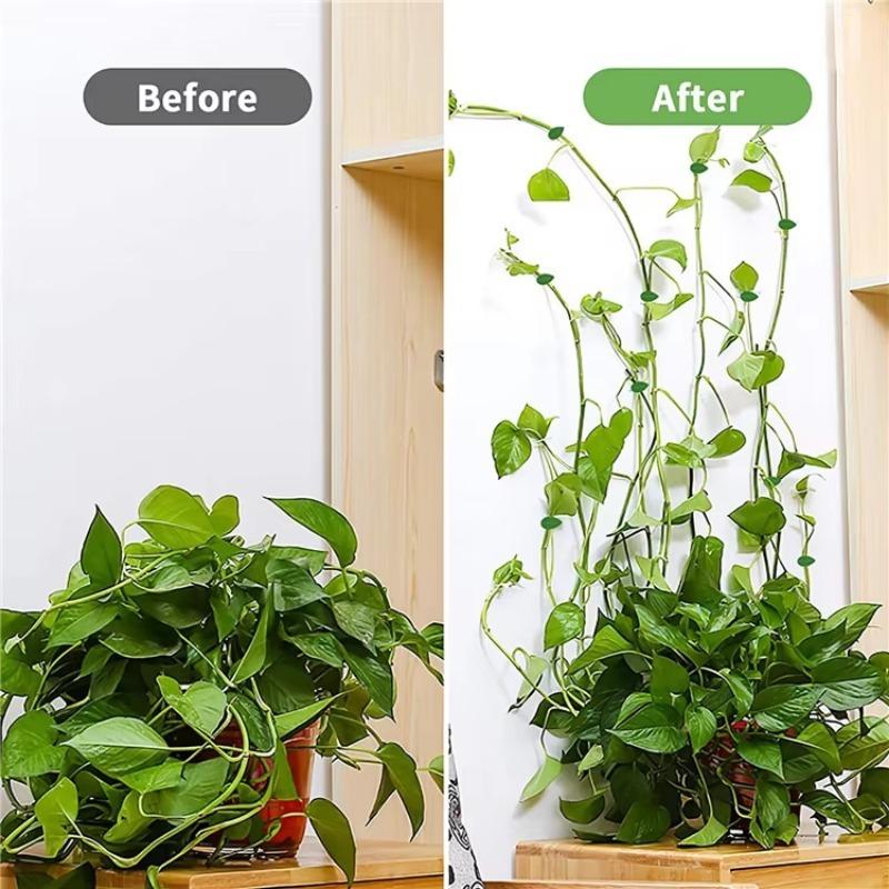 Plant Fixture Clip Plant Climbing Wall Self-Adhesive Fastener Tied Fixture Vine Buckle Hook Garden Plant Wall Climbing