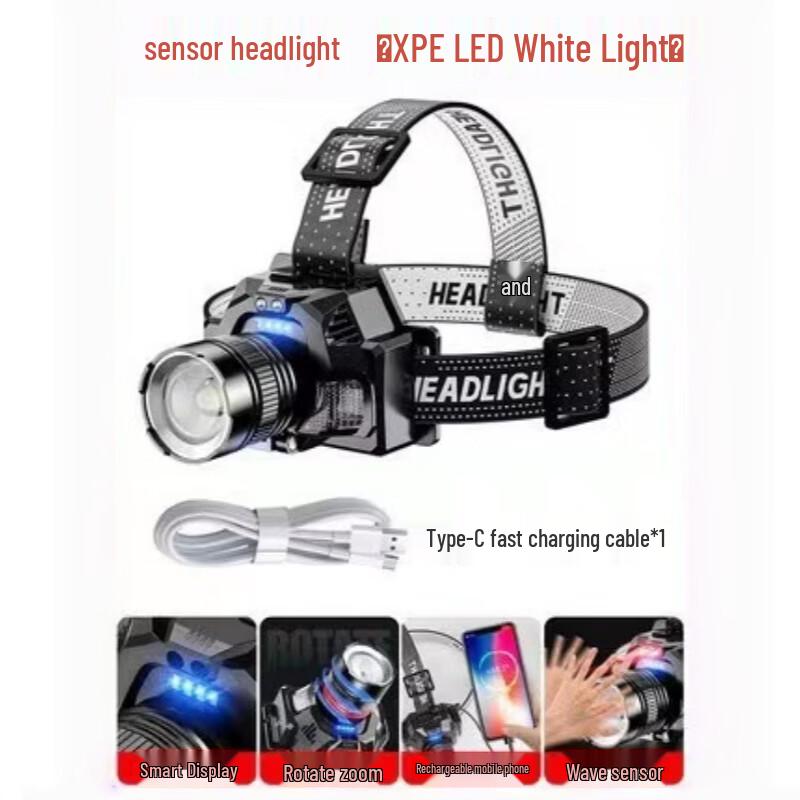 WGP Diverse Collection: Lighting, Grooming & More