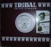 12inch Record JOI  JORIO  I Wont Waste Your Time 95 TRIUK029 TRIBAL United K 1995 UK Dance  Electronica Used