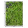 World of Moss V Throw Blanket Weighted Valentine Gift Ideas Designers Single Blankets
