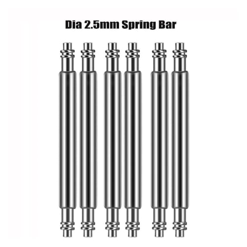 2.5mm Diameter Thick Spring Bars, Watch Strap Link Pins, Fits Seiko SKX007/SKX009 Watch Cases (18mm, 20mm, 20mm, 22mm, 24mm) (10 Pieces, 22mm)
