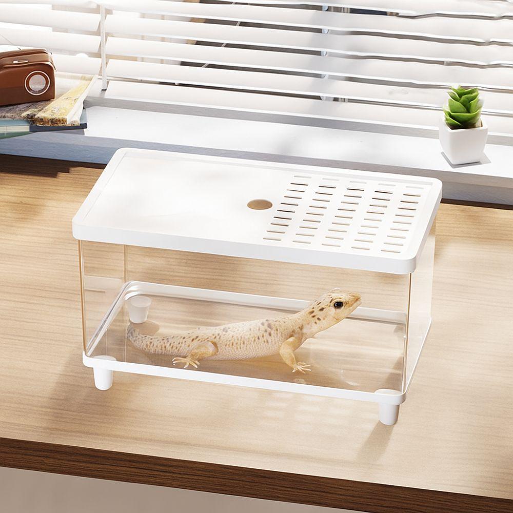 Visual Lizard Breeding Box Breathable Insect Observation Box Reptile Terrarium  Reptile