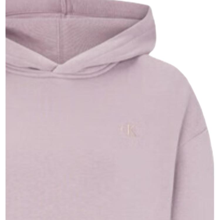 Calvin Klein Lässiger minimalistischer bestickter Buchstaben einfarbiger Hoodie Damen Sweatshirt Helllila 40WH100-NRV