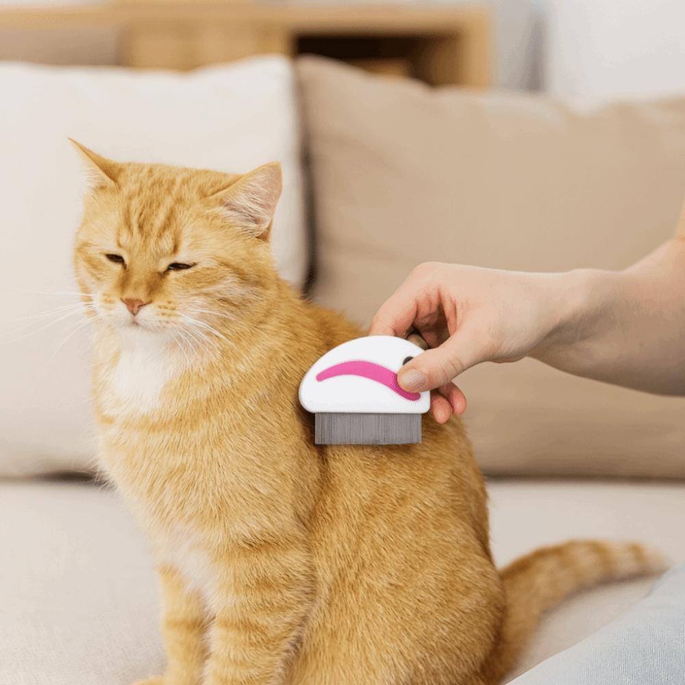 2pcs/set Stainless Steel Dog Flea Comb Plastic Handle Dense Teeth Cat Grooming Comb Anti-slip Bands Mini Pet Lice Comb