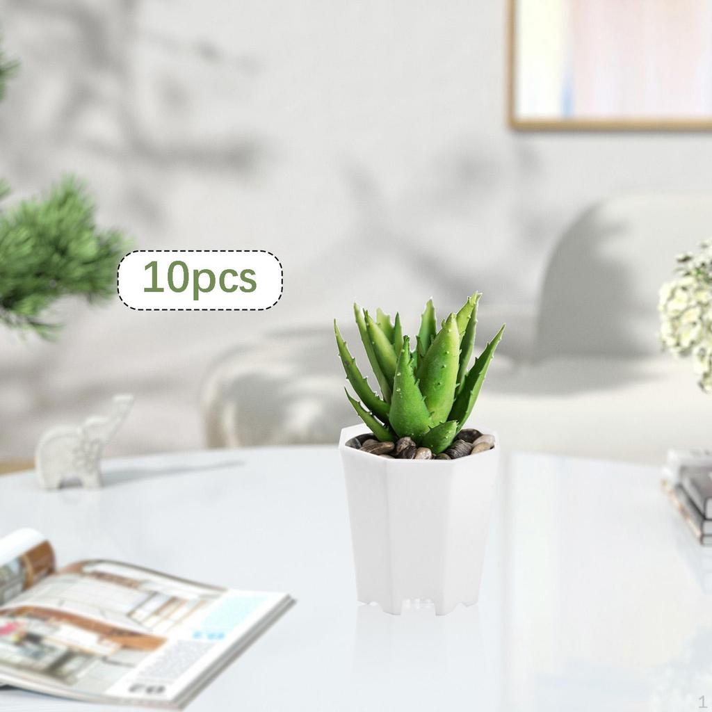 10 Pieces Nursery Pots Decorative Planter Plant Container Octagonal Flower Pot for Office