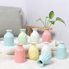 Ins Ceramics Flower Vase Nordic Hydroponics Vases Creative Room Decor Mini Flower Plant Bottle Pots Table Ornament Colorful Vase