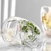 Double-layer Dried Flower Mug Diverse with Handle Clear Glass Cups Anti-Scalding Comfortable Grip Double Wall Coffee Mug