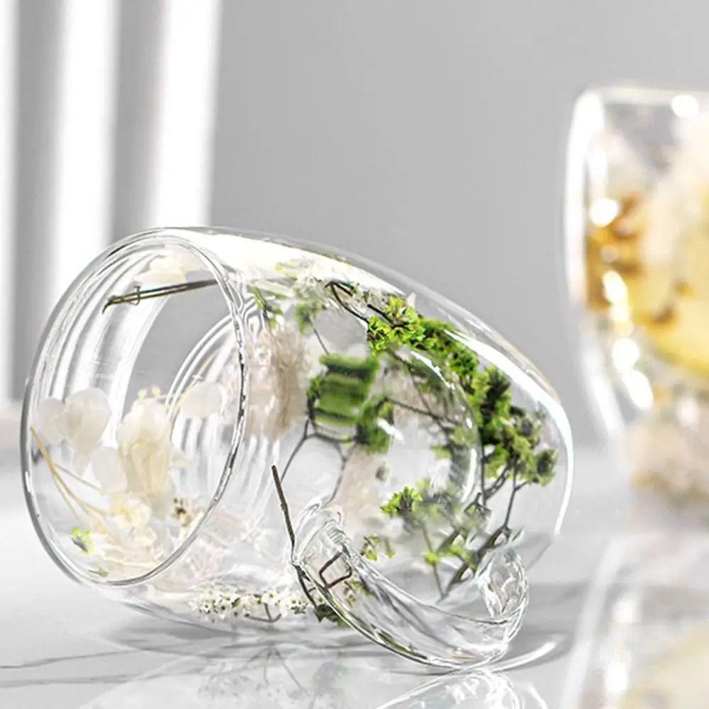 Double-layer Dried Flower Mug Diverse with Handle Clear Glass Cups Anti-Scalding Comfortable Grip Double Wall Coffee Mug