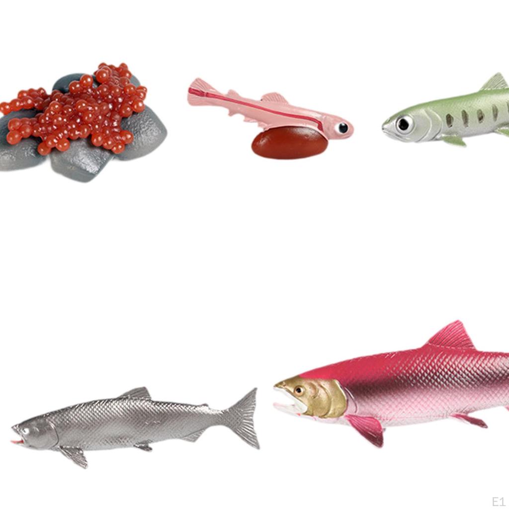 Educational Salmon Life Cycle Toy Set with Realistic Farm Animals