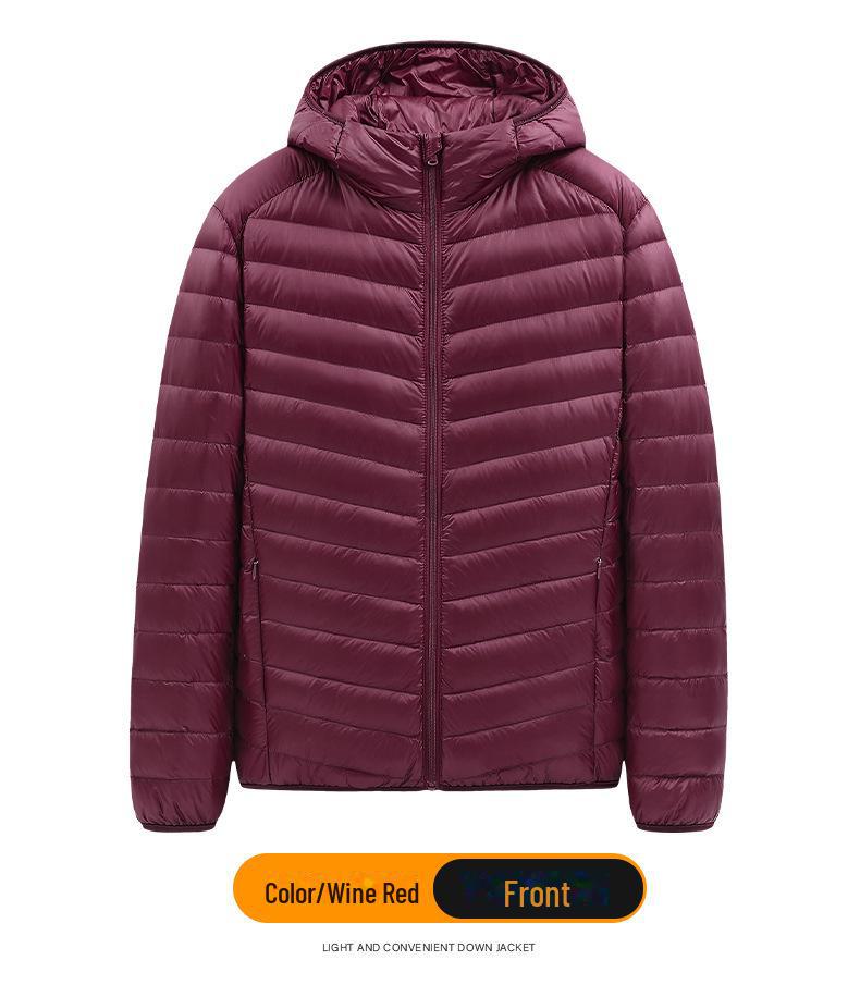 Men's Lightweight Hooded Down Jacket - Short Stand-Up Collar, Casual and Warm for Winter