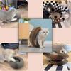 Magic Organ Cat Scratching Board Interactive Scratcher Cat Toy Cat Accordion Toy Cat Grinding Claw Scratching Board Pet Supplies