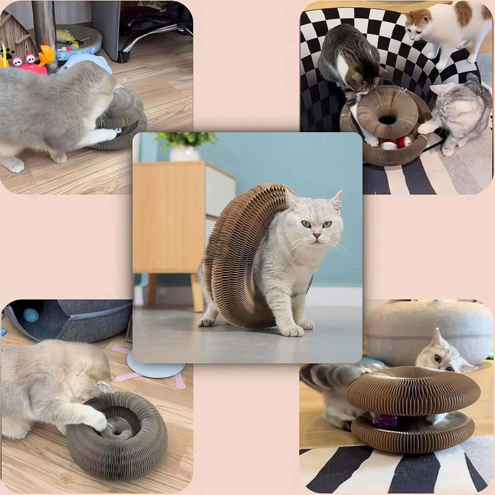 Magic Organ Cat Scratching Board Interactive Scratcher Cat Toy Cat Accordion Toy Cat Grinding Claw Scratching Board Pet Supplies
