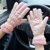 1 Pair Women Fall Winter Gloves Thick Plush Lined Waterproof Windproof Five Fingers Gloves