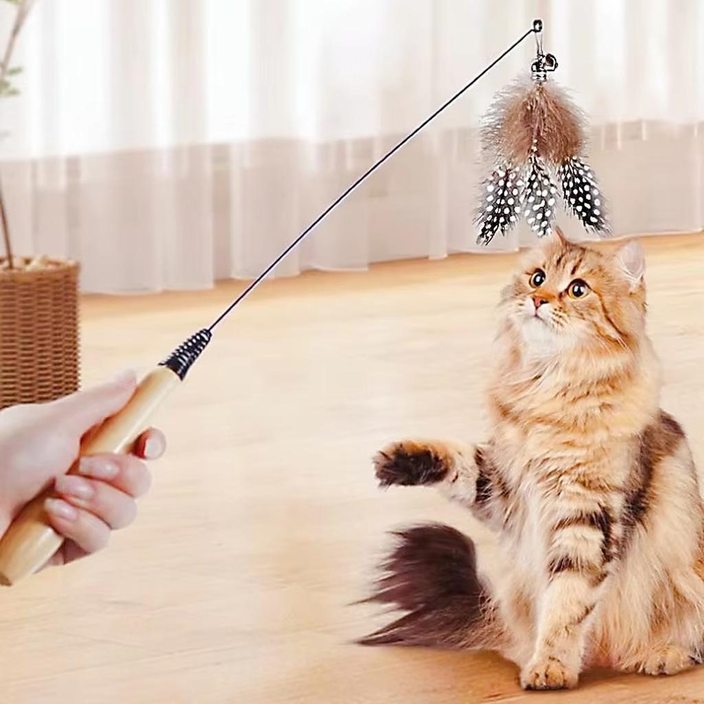 Interactive Cat Wand Toy with Feather Attachment Durable Handle Flexible Wire Design for Indoor Pet Play Exercise