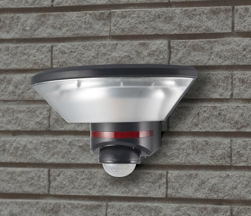 AC Sensor Light (1 Light) ESL-WY3001AC