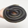 Realistic Fake Rubber Toy Snake, Black, Fake Snakes That Look Real, Prank Stuff 80cm