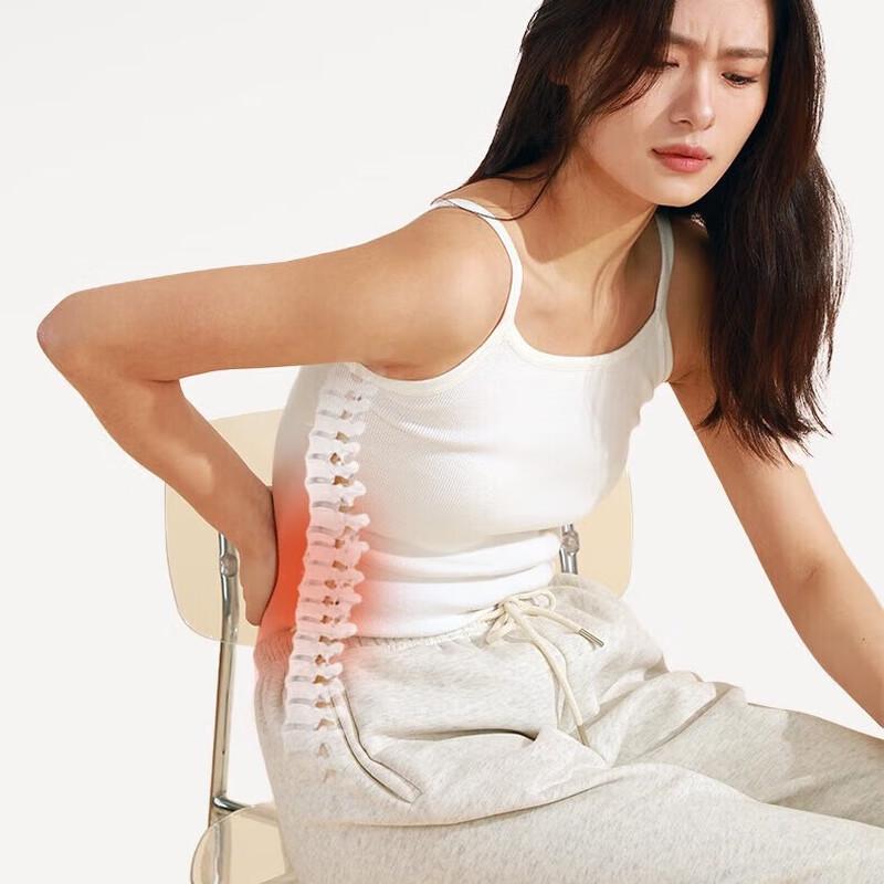 Hezheng Ergonomic Lumbar Support Cushion CN plug (adapter included)