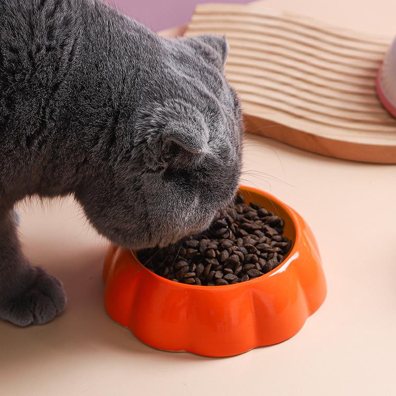 Ceramic Non-Slip Cat Bowl for Food & Water, Cute Design, Pet Supplies for Cats & Dogs.