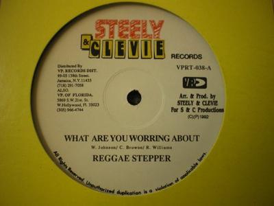 12inch Record REGGIE STEPPER - What Are You Worring About  VPRT038 Steely & Clevie 1992 US Reggae, Ska & Dub Used