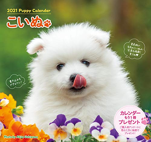 

2021 Dog Calendar ([Calendar])