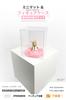 iFREEMEN Figure Collection Acrylic Easy Assembly without Back Showcase with Display 5 13 Packed with Useful Items Base Mirror Back Case, Case, Case,
