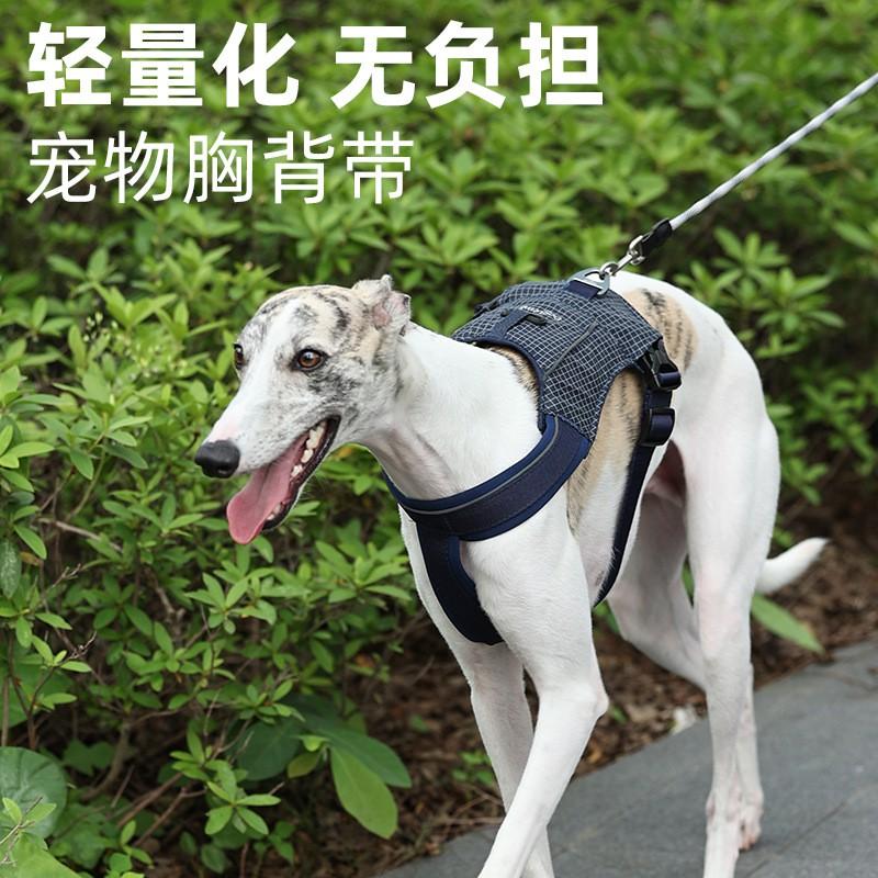 Medium Dog Harness No Pull Breathable Lightweight Pet Walking Outdoor Use