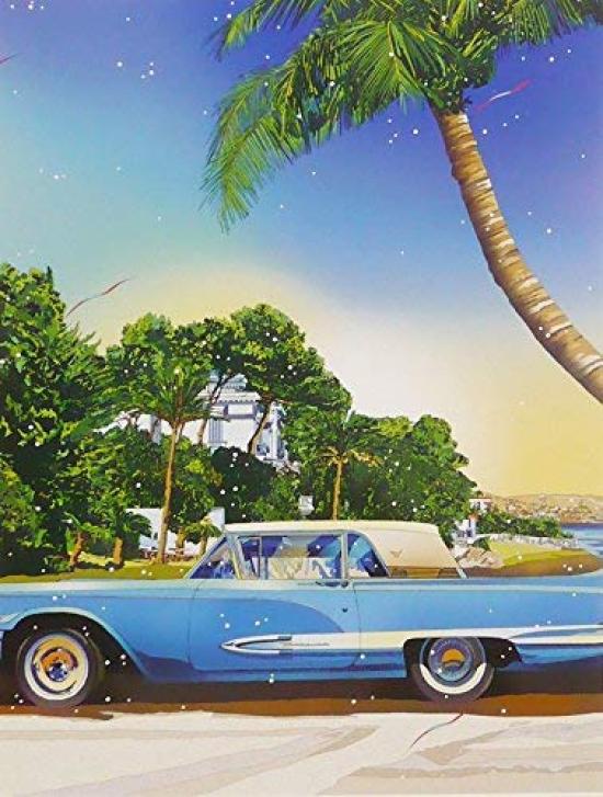 Hideto Suzuki American Art Print Framed 53x43cm [Nice Car]