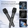 SAST Portable KTV Karaoke Speaker with 23-inch Screen CN Plug (adapter Included)