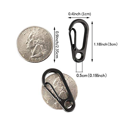 TEMLUM Carabiner, Small Mini Carabiner, Set of 10, Snap Hook,