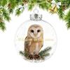 Christmas Ball Creative Cat Hummingbird Pendant Plastic Transparent Atmosphere Decoration Christmas Tree Hanging Ornaments