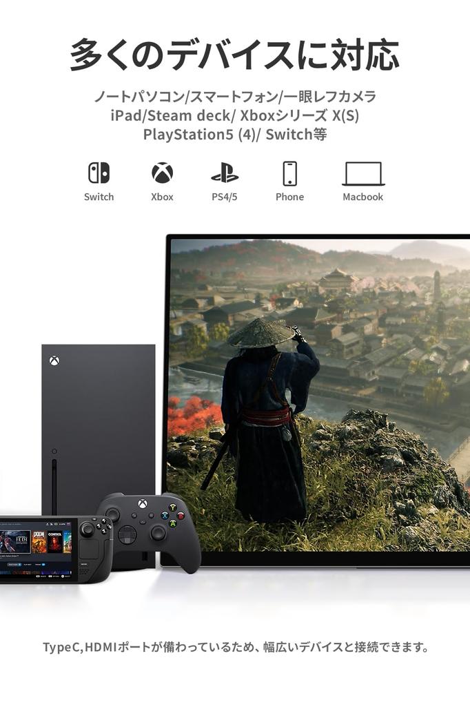 Mobile Monitor EHOMEWEI 17 Inch WQXGA 2560x1600 Thin 5mm Gaming Monitor Speaker Blue Light Cut Case Included 3 Year Manufacturer Warranty Panel