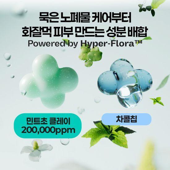 Mamonde Amazing Deep Mint Chocolate Pack Cleanser 135g Special (+25g)