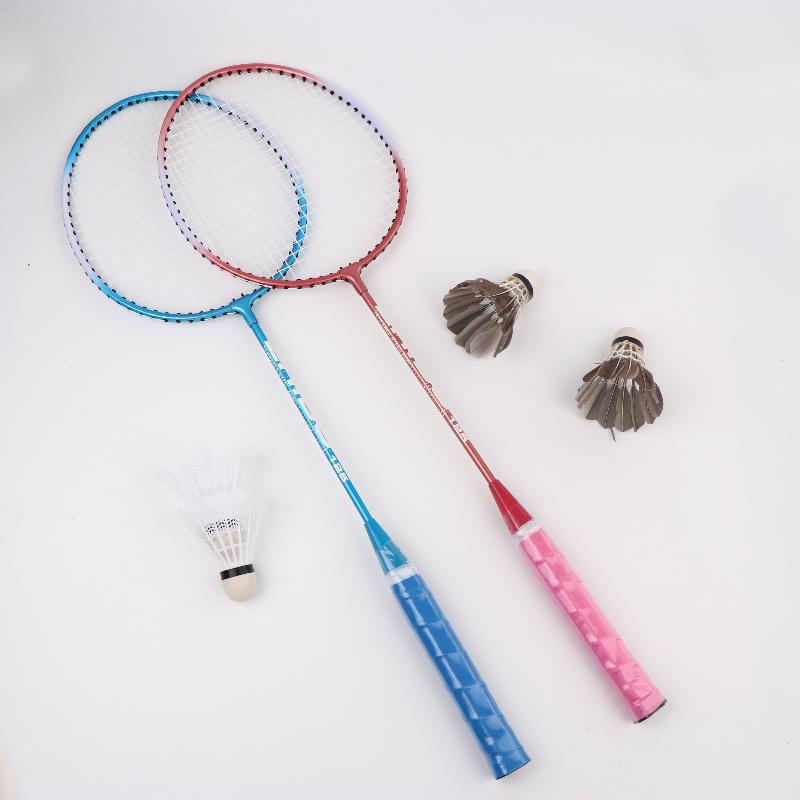 1Set Débutants Badminton Entraînement Professionnel Durable Raquette de Sport de Loisir Durable Ensemble Raquette de Badminton