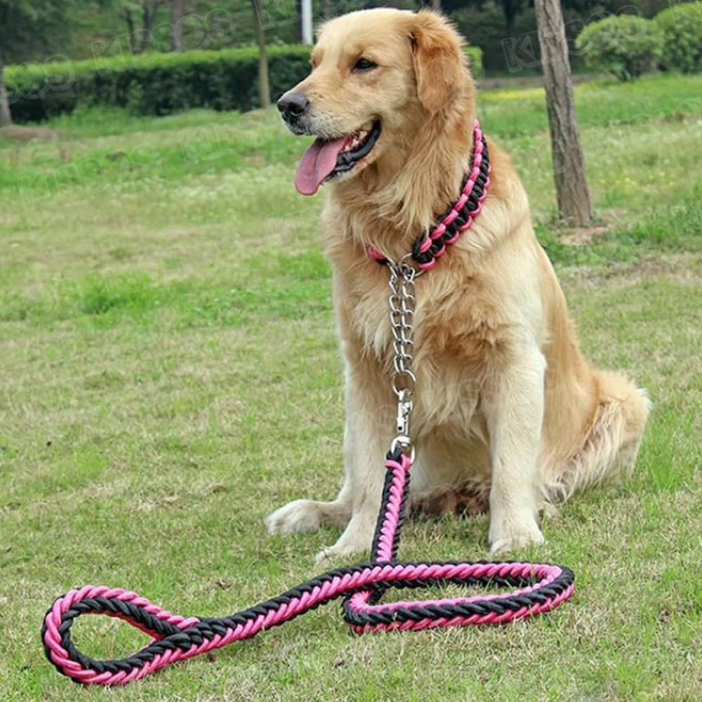 Pet Dog Lead Collar Half Choke Extra Thick Small Medium Large Dogs Stylish Cute Colorful Walking (Large Size, Pink)