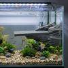 Natural Landscapes Fish Tank Decorations Realistic Aquarium Decor  Miniature Decoration