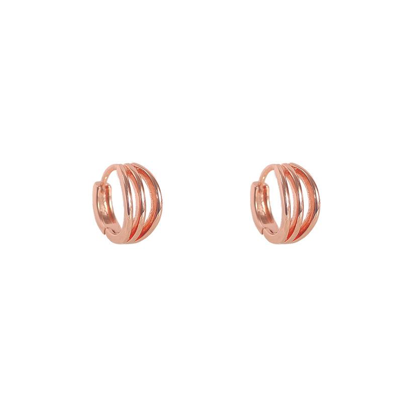 Rose Gold Earrings Female Earrings Senior Sense Niche Ear Jewelry Hypoallergenic Hoops
