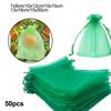 50pcs Garden Plant Protect Mesh Bag Mesh Against Pest Bird Fruit Protect Drawstring Net Bag For Fruits Tomatoes Flower Plant Bag