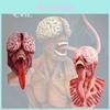 Bw Gy-a019 Long Tongue Monster Latex Bald Tyrant Headgear Halloween Horror Mask