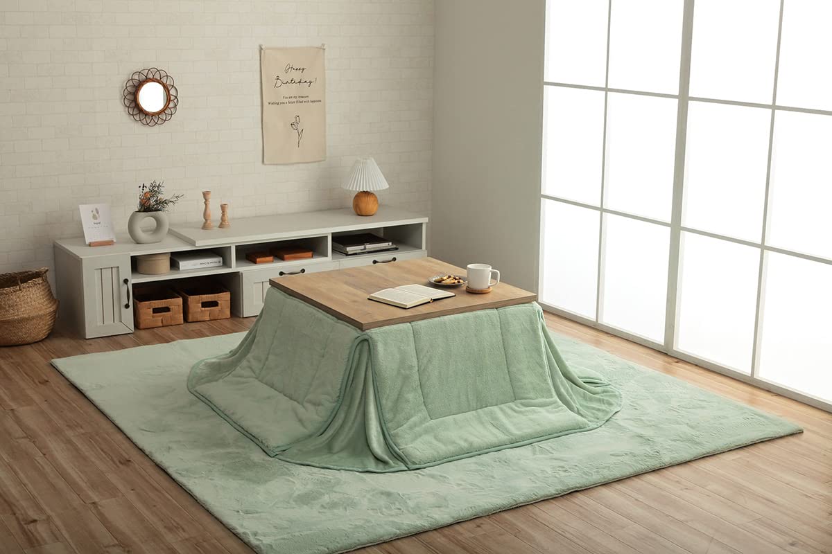 

IKEHIKO Футон для котацу, Квадратный, Lapierce, Компактный, Фисташковый зеленый, Прибл. 160 x 160 см, Однотонный, Мягкий, Пушистый, Женственный дизайн #6842899