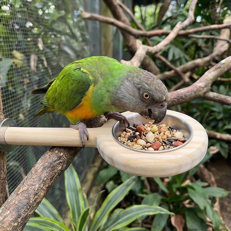 Stainless Steel Feeding Cup Wooden Bird Feeder Perch For Small Medium Parrots With Detachable Design Easy To Clean