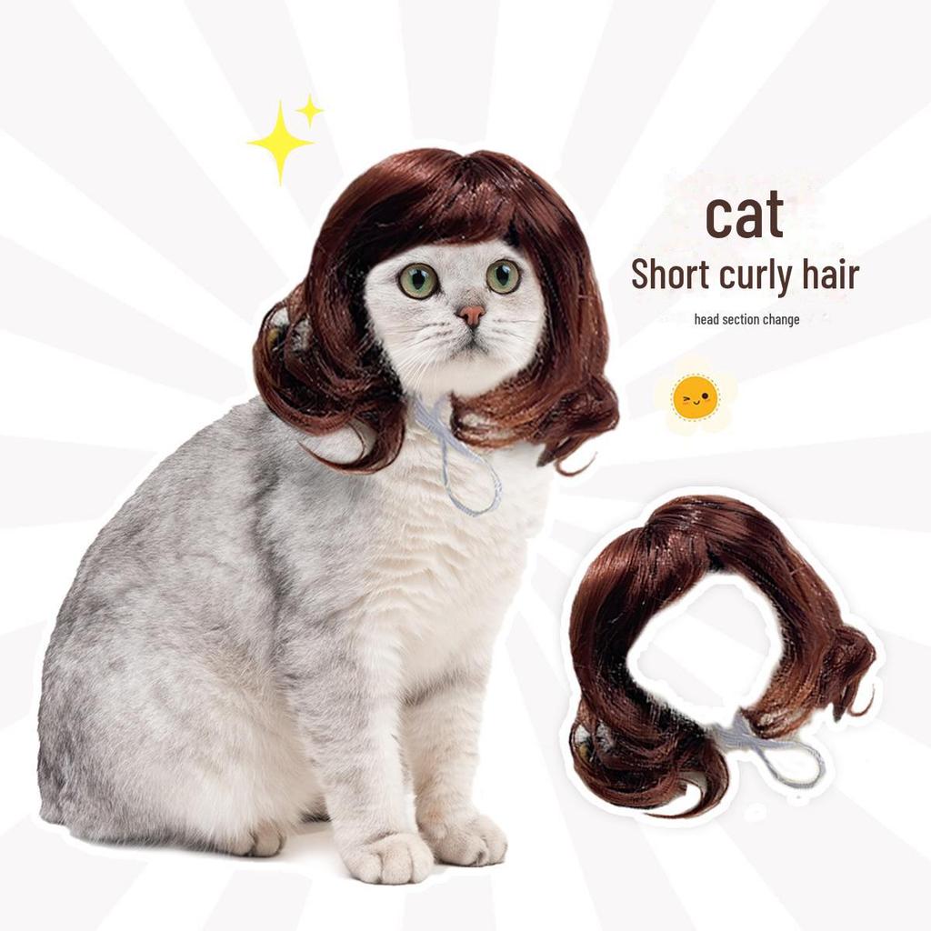 Holiday Party Pet Wig: Long Curly Cat Hairpiece