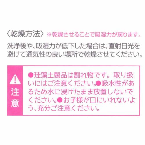 Skater Diatomaceous Earth Water Bottle with Drying Stick, Large, Basic, KTS10