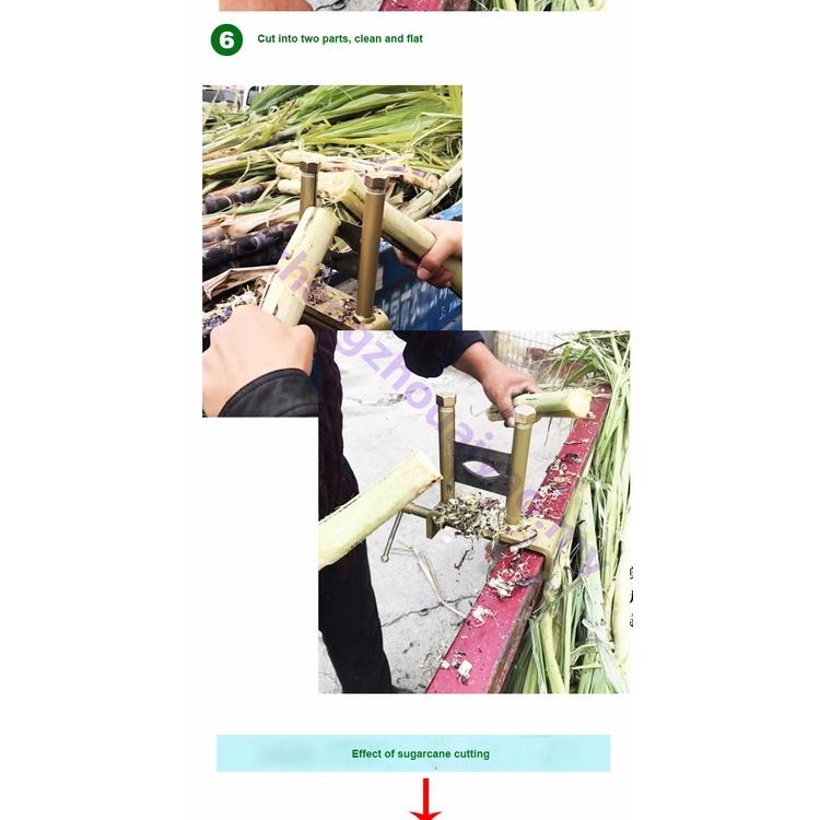 Manual Sugarcane Peeling Machine Manual Sugarcane Peelers Sugar Cane Peeler Sugar Cane Peeler Tools