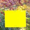 50 Pieces Double Sided Yellow Sticky Traps For Catching Flying Plant Such As Fungus, Gnats, Aphids, Mealybugs, Leafminers