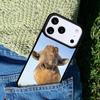 Zoo Animals 1 Giraffe Phone Case For iPhone 17 AIR 16 Pro Max 15 14 Pro 11 12 13 Shockproof Silicone Cover