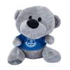 Everton FC Teddy Bear