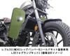 SP TAKEGAWA LED fog lamp kit For vehicles equipped with SP Takegawa leg 2 pieces CL250 250 3.0 (950) bumper, (MC57)/Rebel (MC49) 05-08-0591